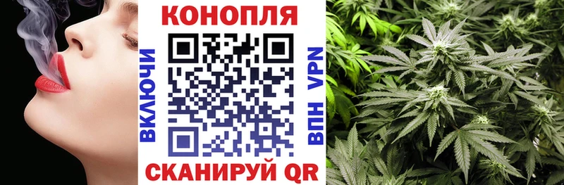 Бошки Шишки тримм  Болотное 